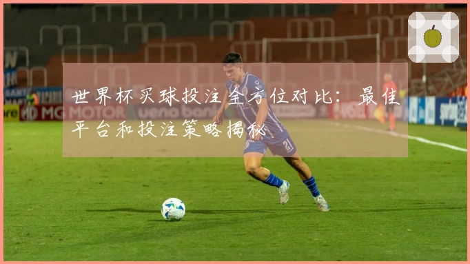 世界杯买球投注全方位对比：最佳平台和投注策略揭秘