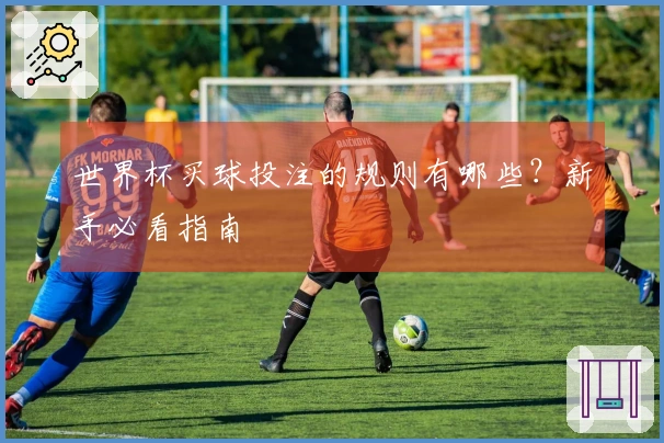 世界杯买球投注的规则有哪些？新手必看指南
