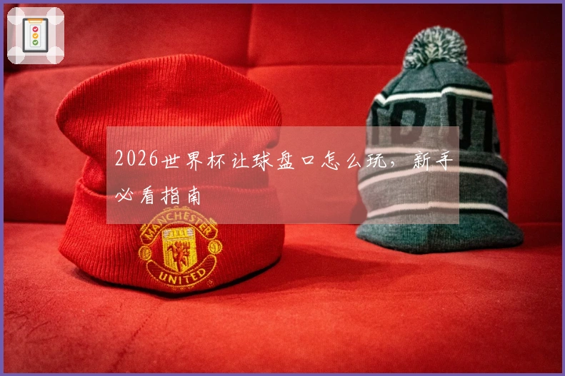 2026世界杯让球盘口怎么玩，新手必看指南