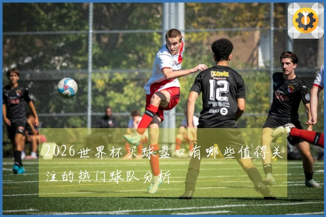 2026世界杯买球盘口有哪些值得关注的热门球队分析