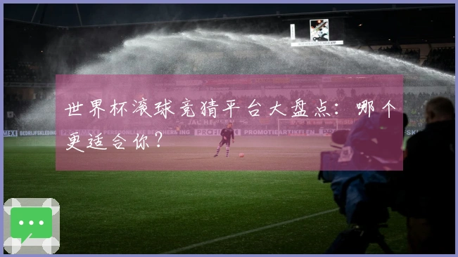 世界杯滚球竞猜平台大盘点：哪个更适合你？