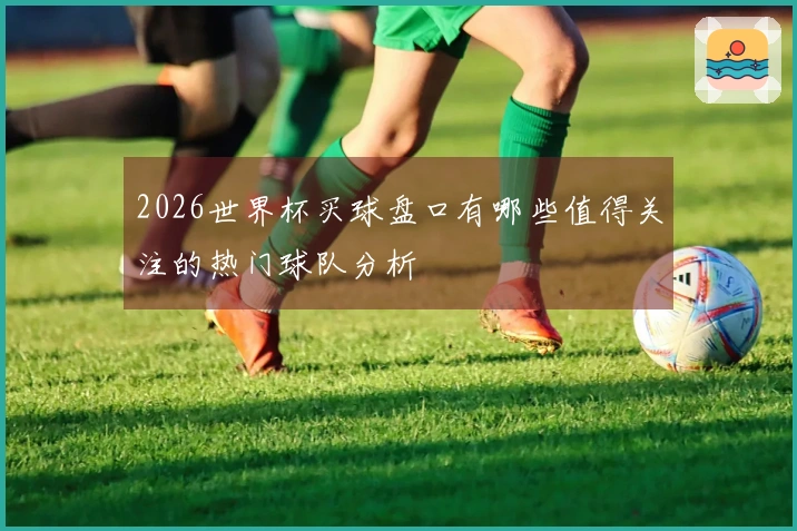 2026世界杯买球盘口有哪些值得关注的热门球队分析